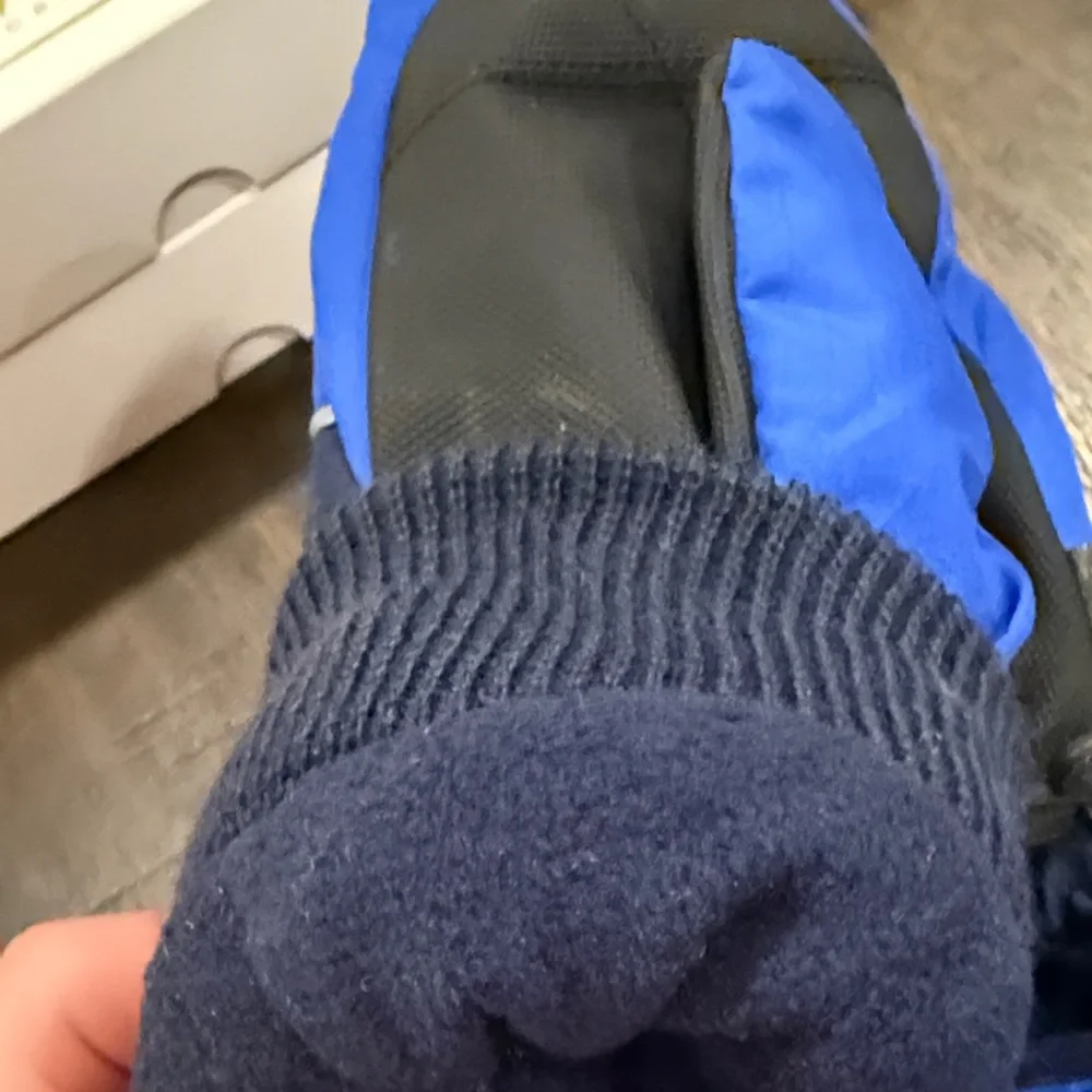 The Children's Place Navy and Royal Blue Mittens